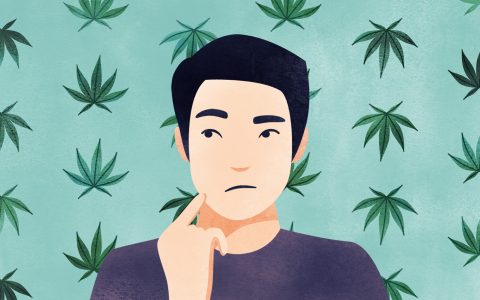 Coming Back to Cannabis? Here’s What You Need to Know