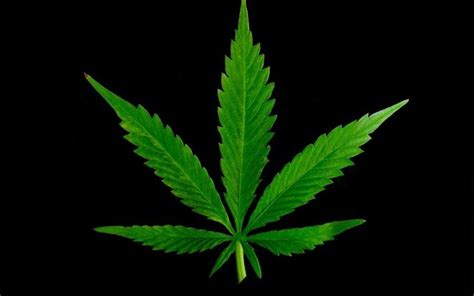 Mississippi: Legislation Introduced to Establish a Medical Marijuana Pilot Program