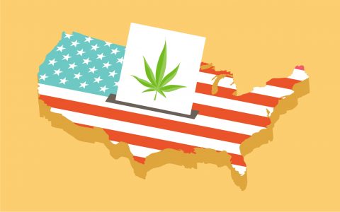 California Voters Advance Pro-Cannabis Governor, New Taxes