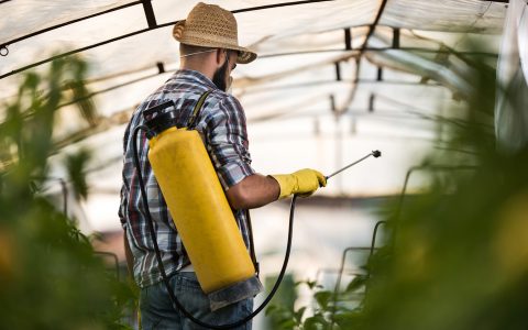 Chemical-Free Cannabis: Canadian Growers Turn to Biological Pesticides