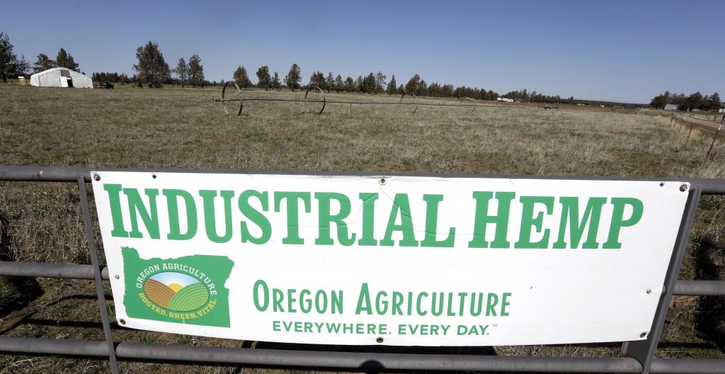 Farm Bill Makes Hemp a Crop, Not a Drug. Growers Are Elated