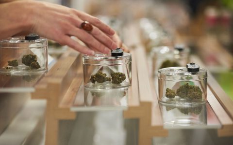 Ontario Now Accepting Applications for Retail Cannabis Licenses