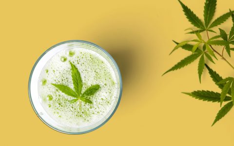 Cannabis on the Menu: Envisioning the Future of Infused Foods in Canada
