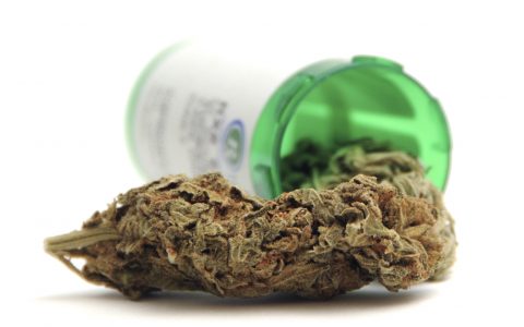 Science Backs Most Medical Cannabis Treatment, Study Finds