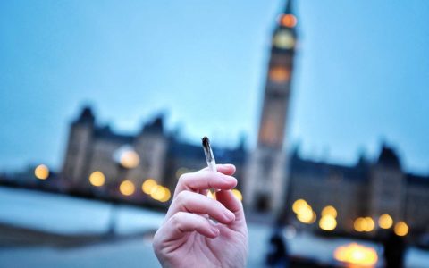 The 2019 Leafly Buyer’s Guide to 4/20 Deals in Canada