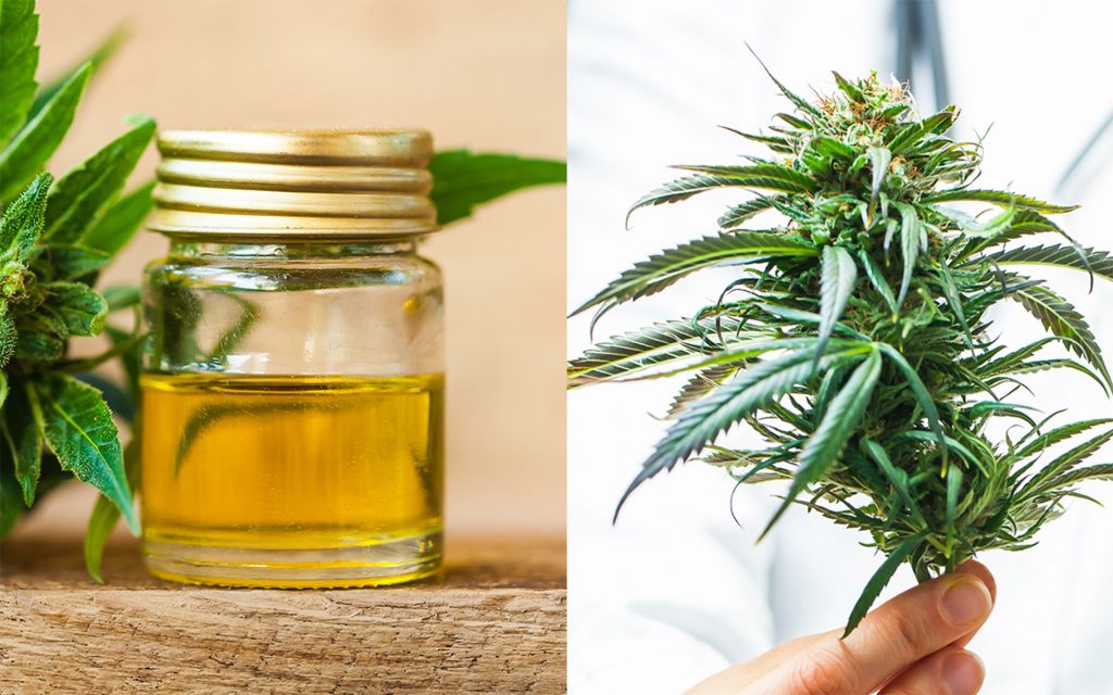 CBD oil and hemp cannabis flower