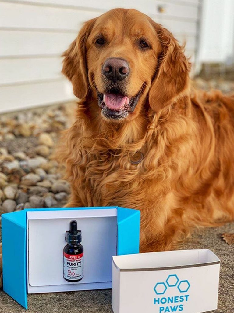 dog posed next to Honest Paws CBD oil