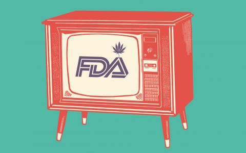 5 Takeaways From the FDA’s Hearing on CBD