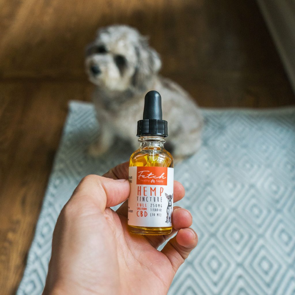 CBD Extract in hand with dog in background