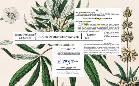 Seed Certification, Global Research Lab Set Out to Standardize US Hemp