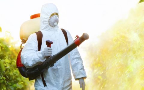 Should You Fear Pesticides on Your Cannabis?