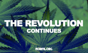 Wisconsin NORML: Presenting a United Front of Advocacy, Education and Reform
