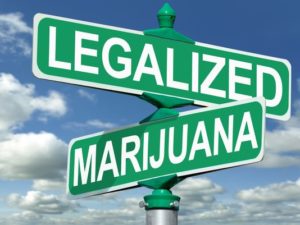 Arizona NORML, Partners File 2020 Statewide Legalization Initiative