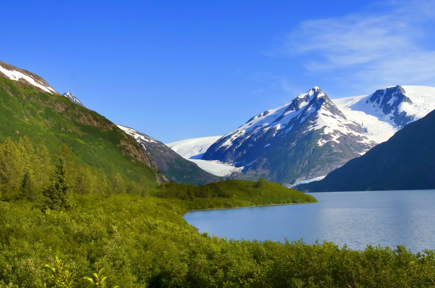 Alaska governor cuts funding for hemp program, cites no existing industry