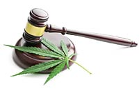 American Bar Association Endorses Ending Marijuana Prohibition