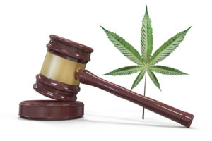 Delaware: Law Signed Reducing Marijuana Penalties for Juvenile Offenders