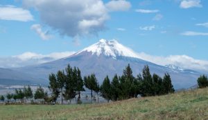 Ecuador considers hemp changes amid broader cannabis review