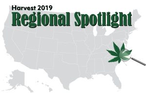 Southeast harvest preview: 98% of North Carolina and Virginia farmers planted hemp for CBD production