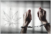Study: No Uptick in Violent Crime Following Adult Use Cannabis Legalization