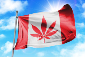 NORML Canada Launches Post-Legalization Platform on One Year Anniversary of Marijuana Legalization
