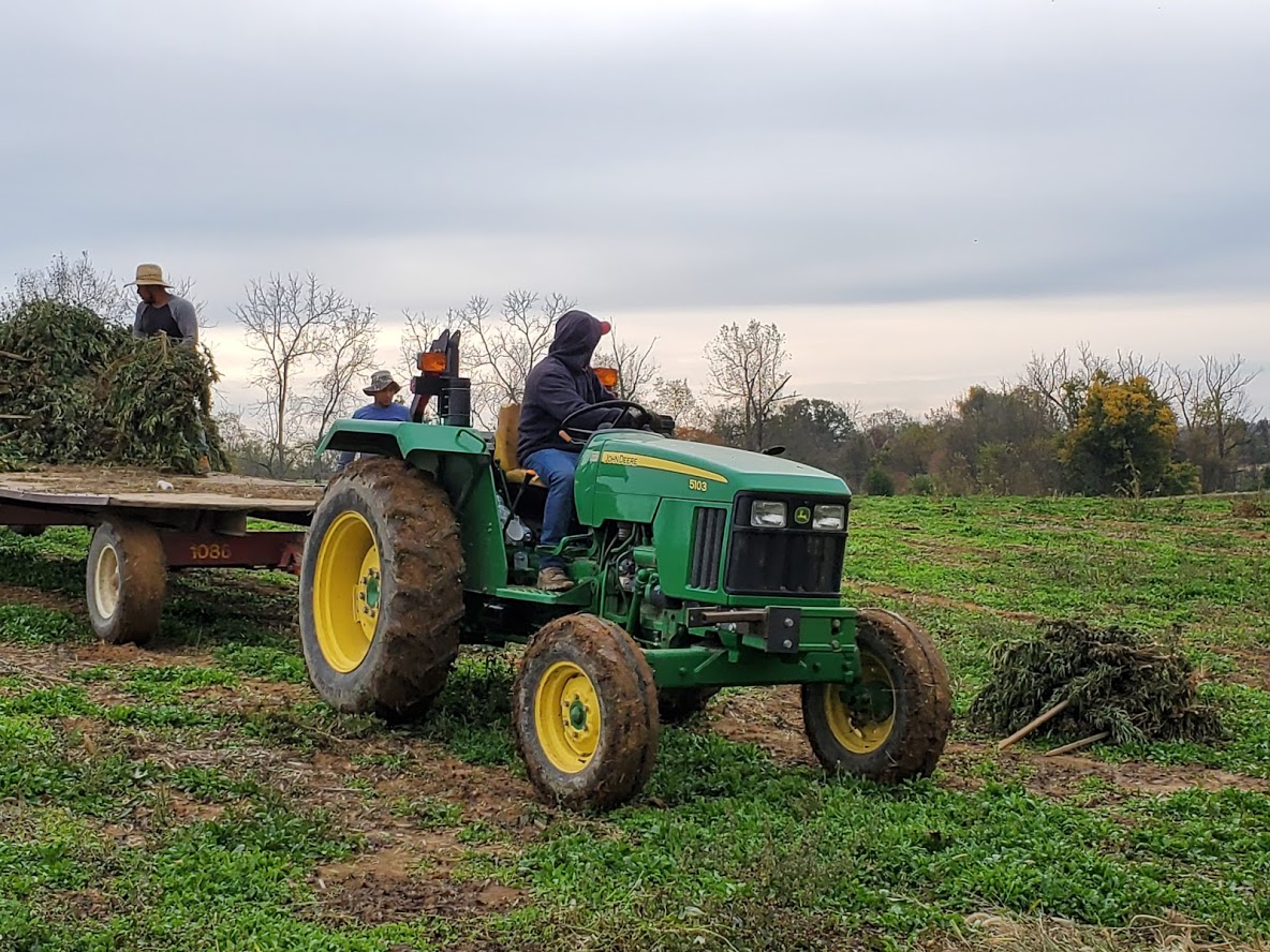 Kentucky will operate 2020 hemp program under existing rules