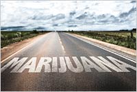 Poll: Respondents in Adult-Use Marijuana States Say Legalization Has Been Successful