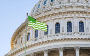 Congressional Committee to Hold Marijuana Legislative Hearing This Wednesday