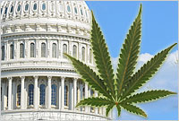 House Energy and Commerce Subcommittee Considers ‘Cannabis Policies for the New Decade’