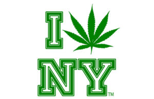 New York: An Analysis of Governor Cuomo’s Legalization Proposal