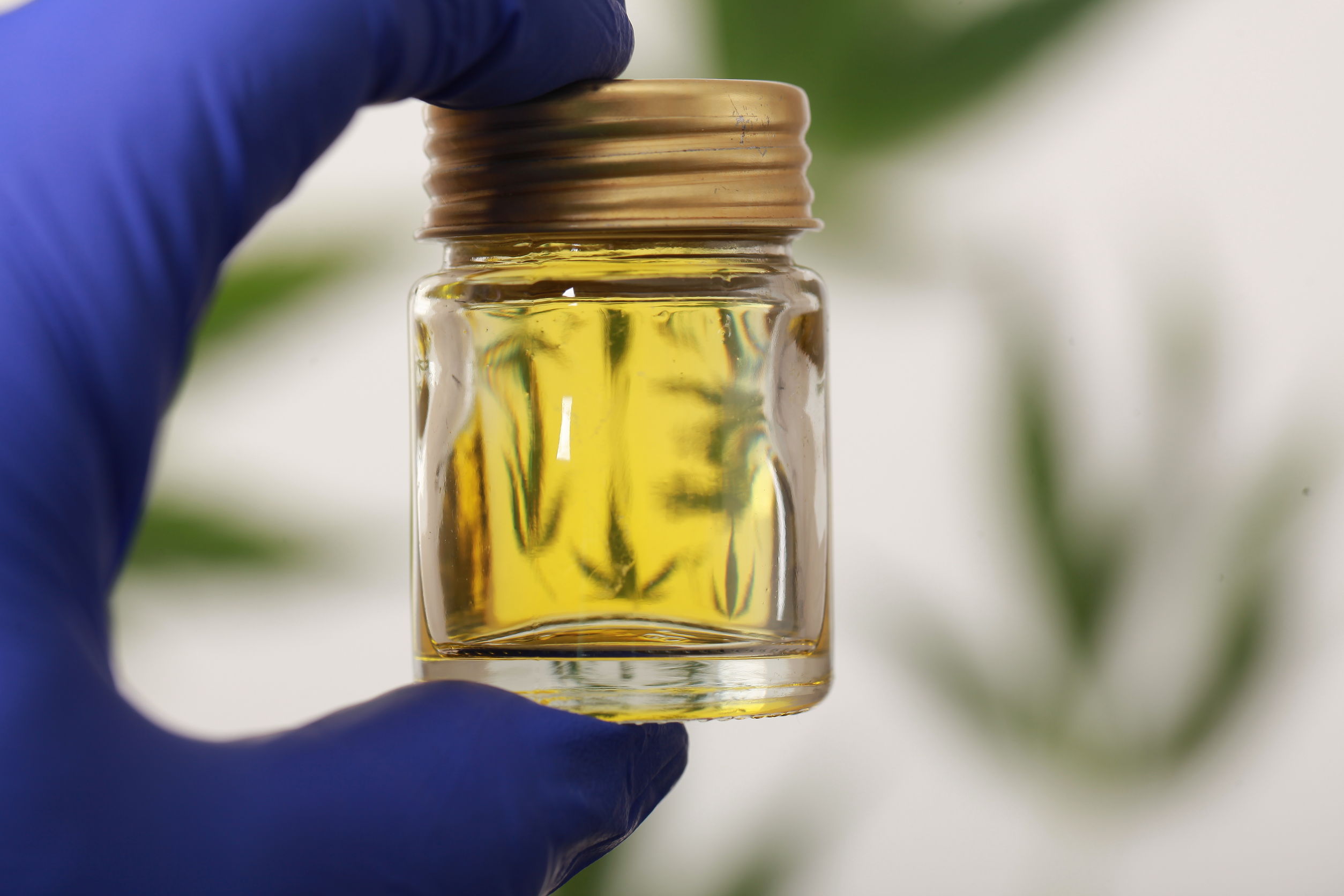 Federal judge orders New York company to stop distributing hemp seed oil after FDA’s repeated warnings