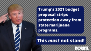Tell Congress Not To Allow Trump To Roll Back Medical Marijuana Protections