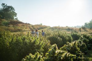 Six top considerations before acquiring a hemp cultivation site
