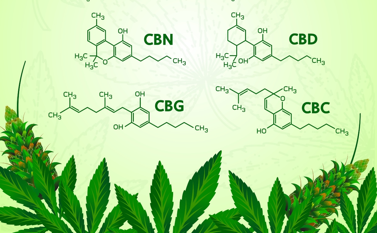 Canadian and Spanish hemp companies team up to distribute CBG in Canada
