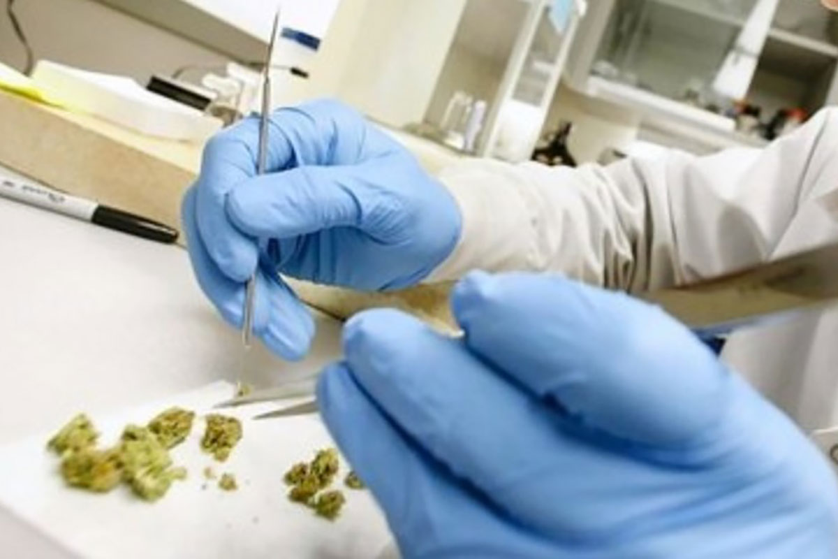Two Florida cannabis laboratories merge hemp and CBD customers with new acquisition