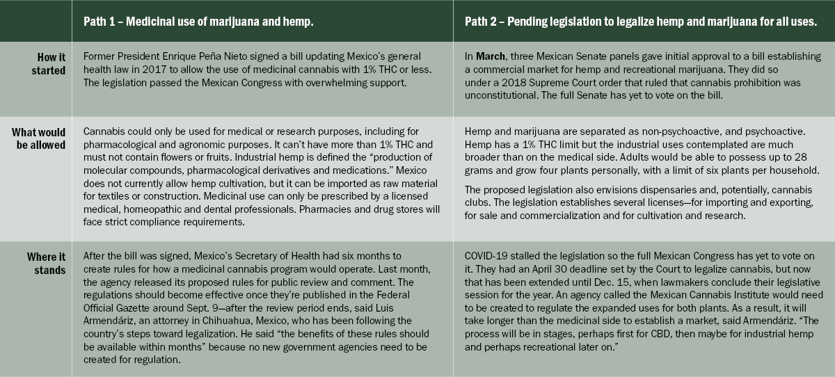 Chart: Making sense of Mexico’s dual legalization measures