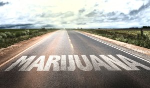 Which States Are Poised to Advance Marijuana Legalization Reforms in 2021?