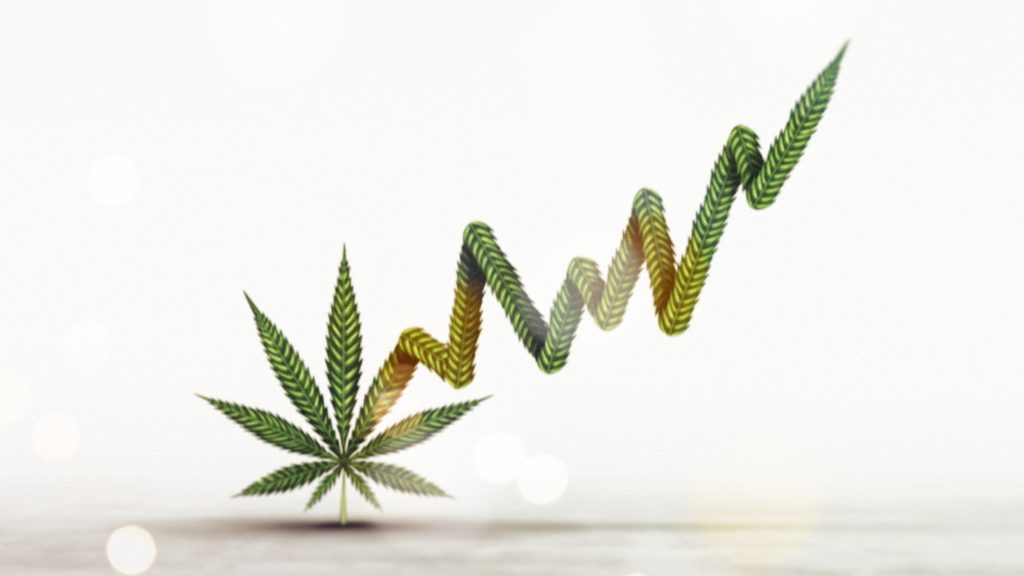 The state of weed stocks