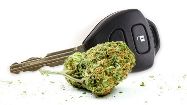 Study: Marijuana Legalization Laws Not Are Associated with Lax Attitudes Toward Drugged Driving