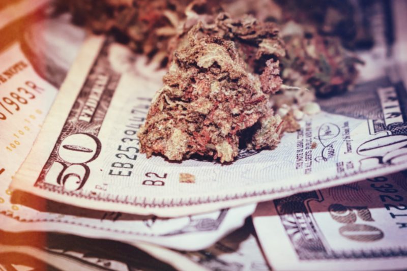 Marijuana Business already too big? CEO’s making millions