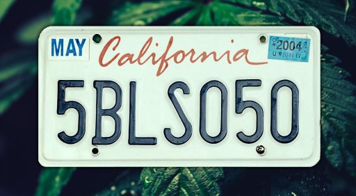 California: State NORML Affiliate Recommends Voting ‘No’ on Gubernatorial Recall