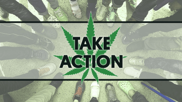 Take Action for Marijuana Law Reform