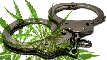 Marijuana Leafs and handcuffs
