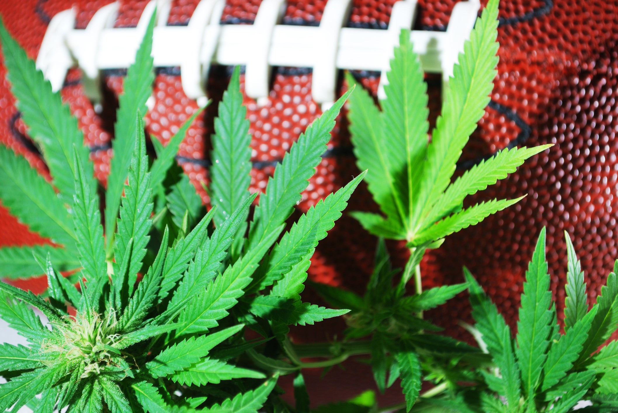 CBD in the NFL, what comes next?