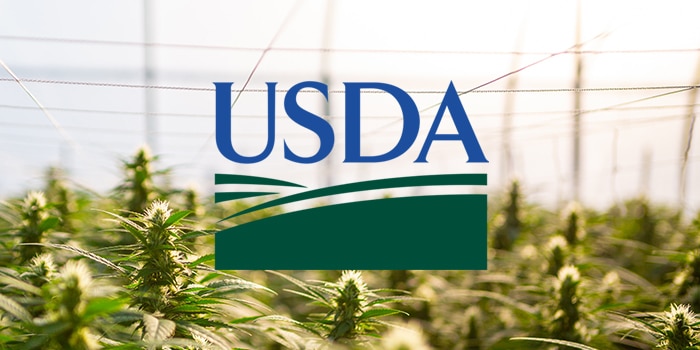 USDA Releases Hemp Acreage and Production Results from 2021