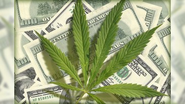 Marijuana Revenue