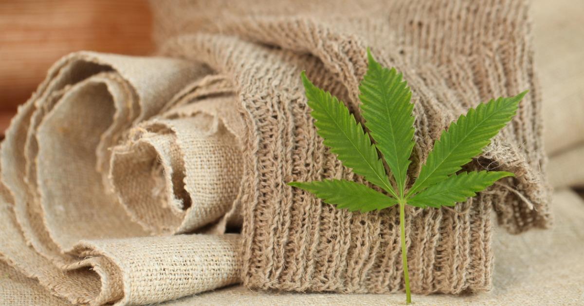 New Reports Show Hemp Clothing to Boom Over the Next 10 Years