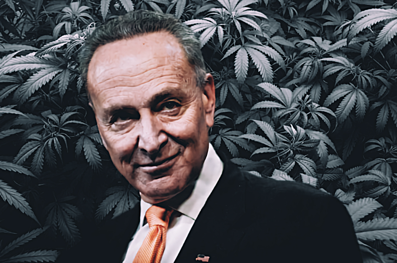 A Glimpse into the Senate’s views on Marijuana Legalization