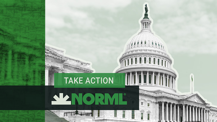 Elevate Your 4/20 with NORML
