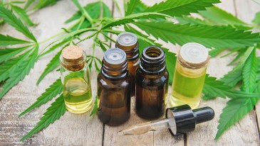 Marijuana Oils Tinctures Plants