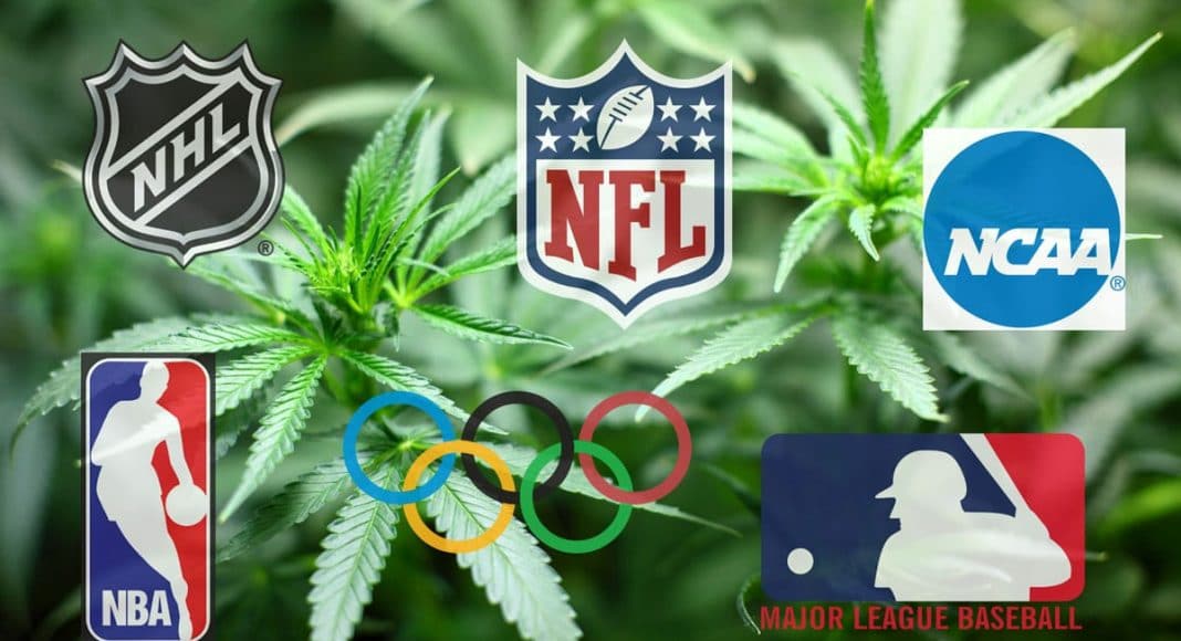 Should Marijuana be Allowed in Professional Sports?